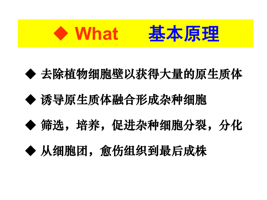 原生质体的分离A课件.ppt_第3页