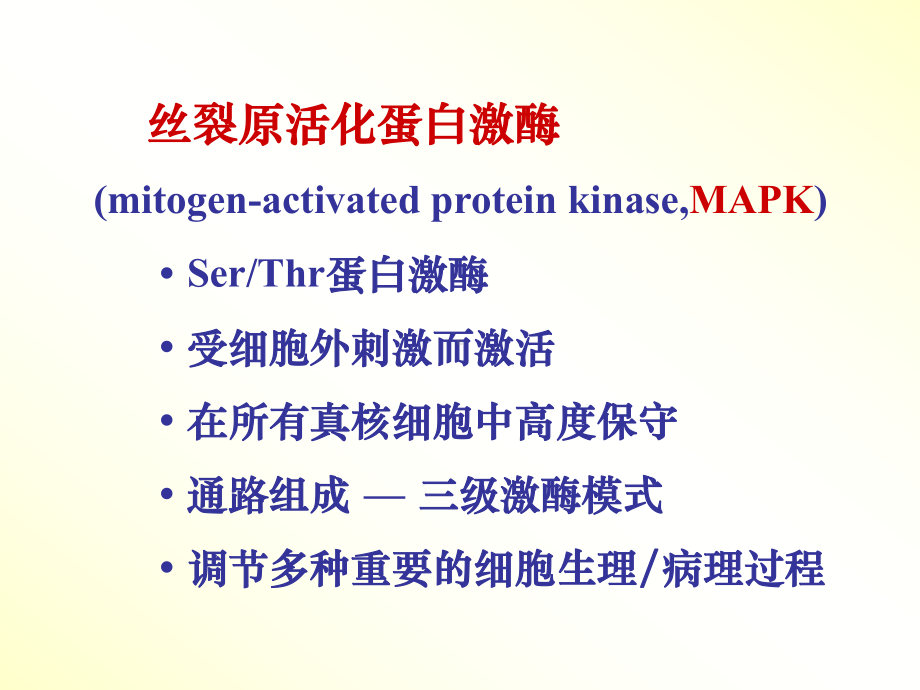 医学课件丝裂原活化蛋白激酶.ppt_第2页