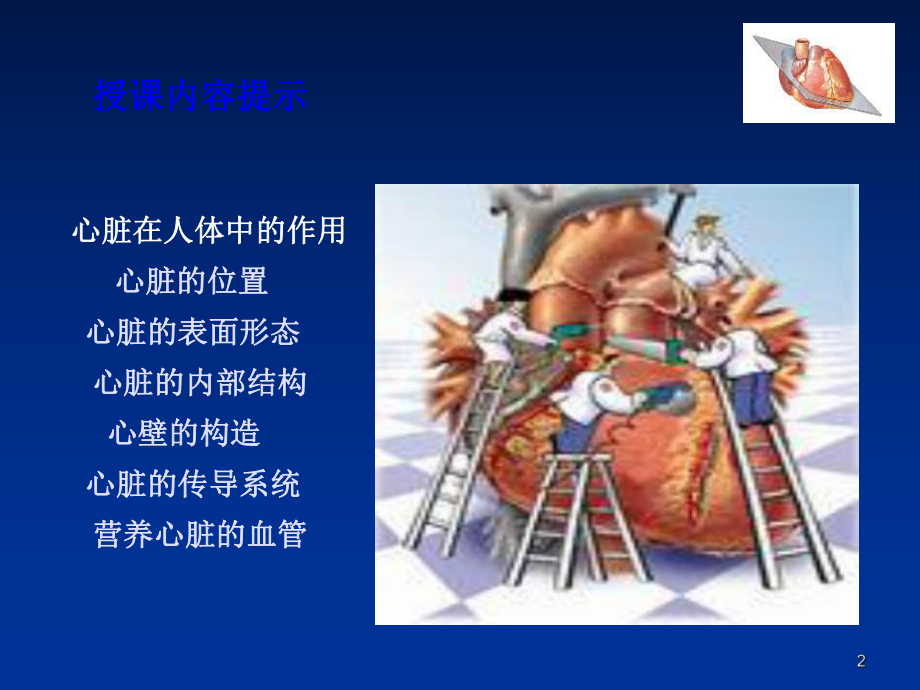 医学-心脏的解剖生理课件.ppt_第2页