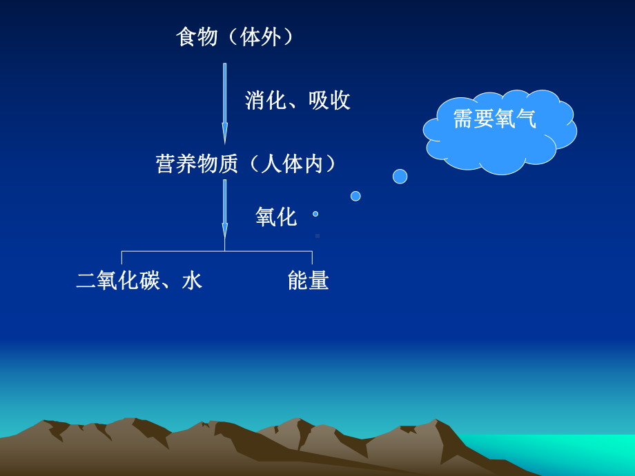 动物的循环呼吸淋巴和免疫课件.ppt_第3页