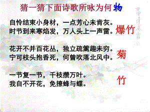 咏物言志诗课件.ppt