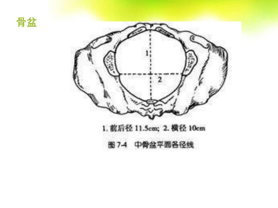 分娩机转-图文.ppt课件.ppt_第3页