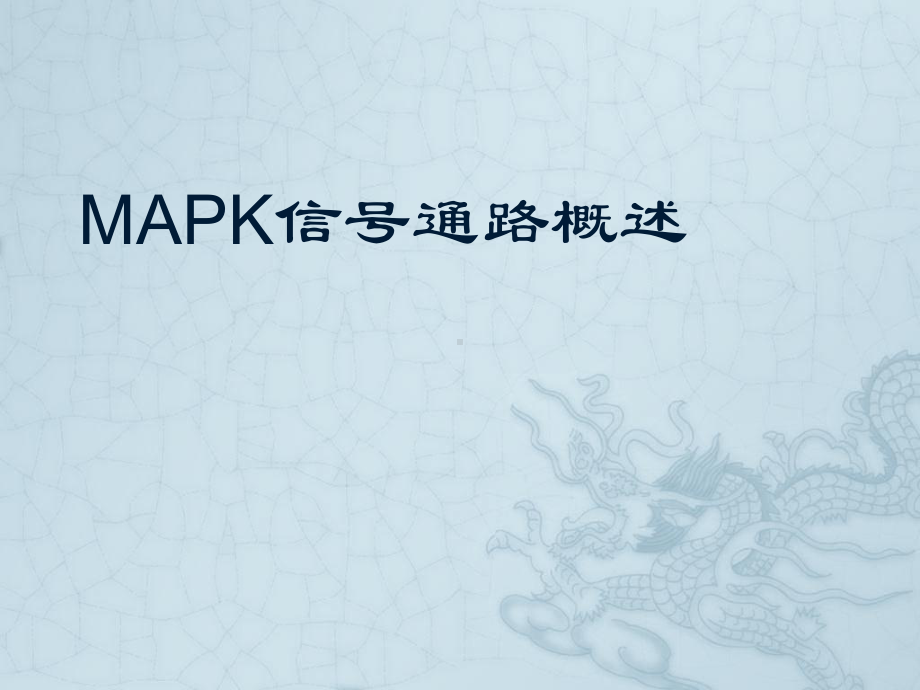 哺乳动物的三条mapk信号通路途经概述课件.pptx_第1页