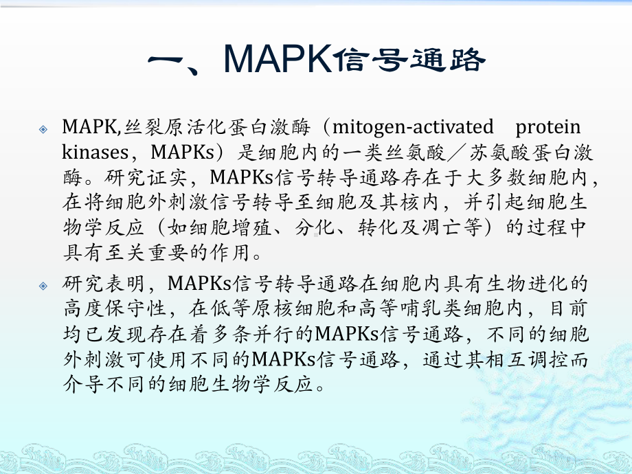 哺乳动物的三条mapk信号通路途经概述课件.pptx_第2页