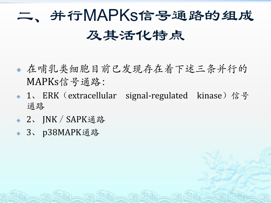 哺乳动物的三条mapk信号通路途经概述课件.pptx_第3页