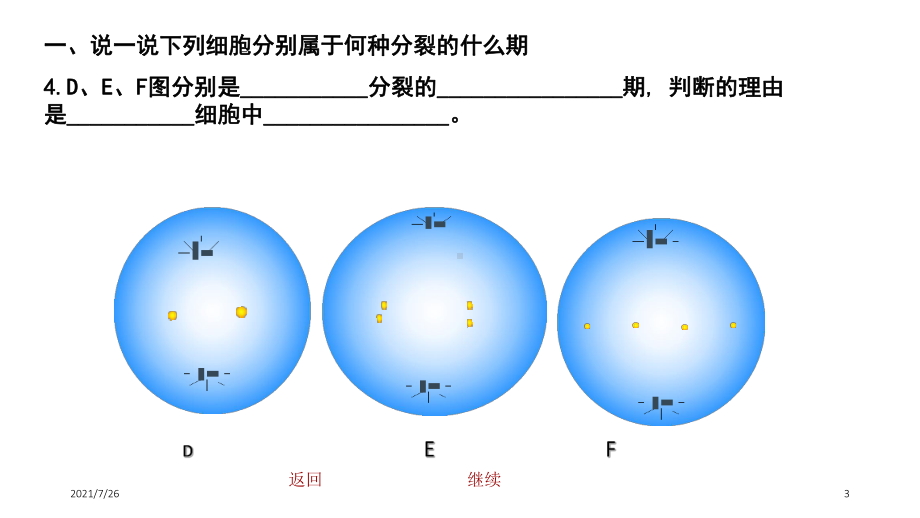 减数分裂练习题课件.ppt_第3页