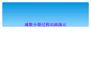 减数分裂过程动画演示课件.ppt