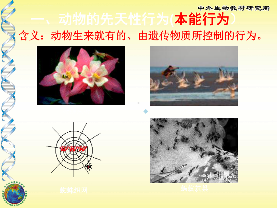 动物行为的生理基础ppt课件.ppt_第3页