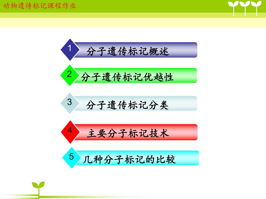 几种分子遗传标记技术课件.ppt_第2页