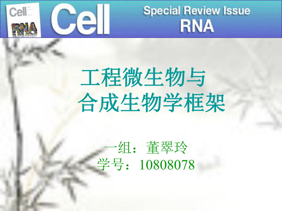 合成生物学-生物化学与分子生物学课件.ppt_第1页