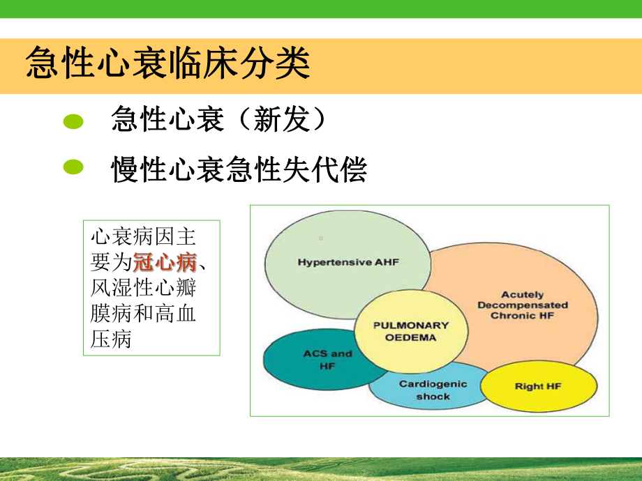 冠心病合并心衰pci课件.ppt_第3页