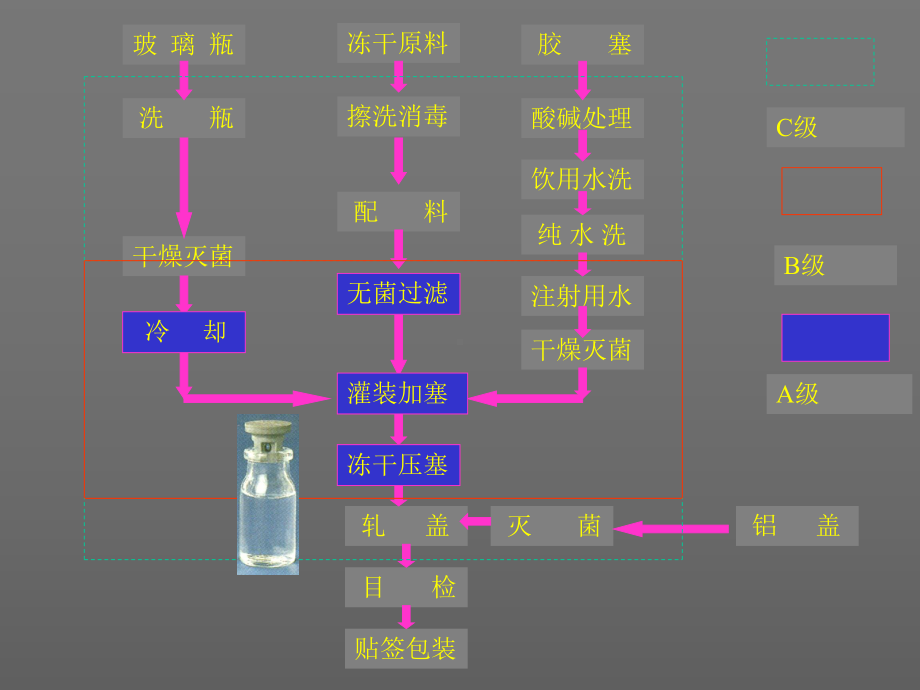 冻干制剂工艺与车间设计讲解.ppt_第3页