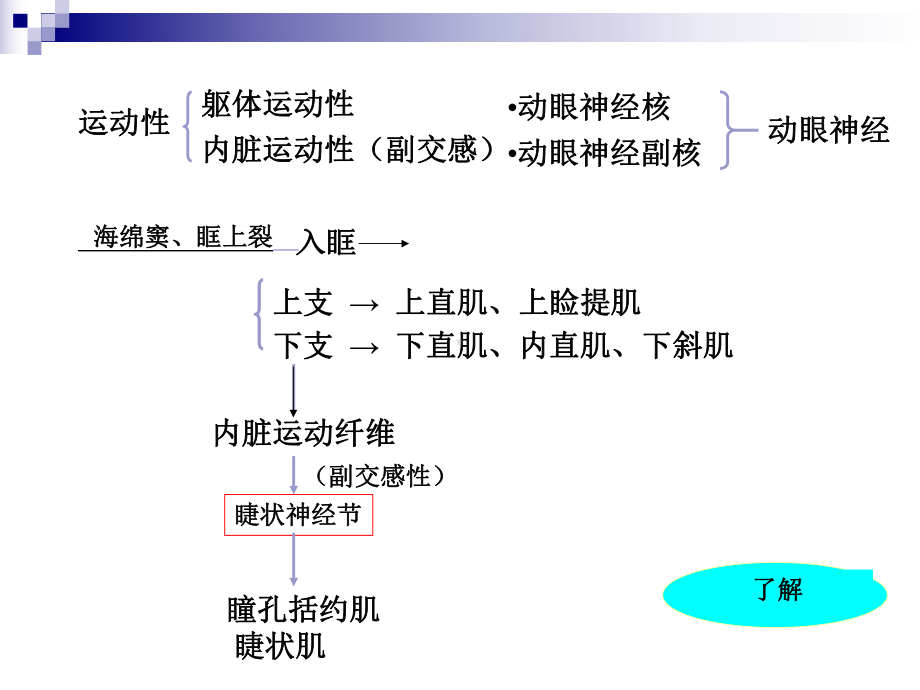 动眼、滑车、外展神经课件.ppt_第3页