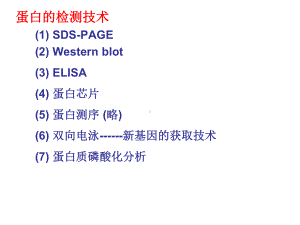 分子生物学-蛋白检测技术课件.ppt