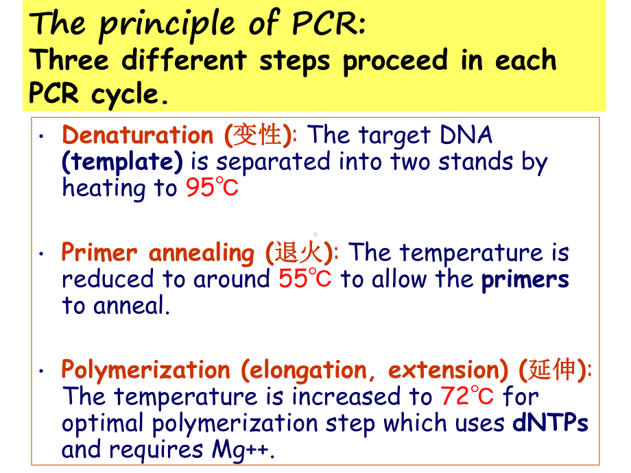 分子生物学第三章-dna的复制-基于dna复制原理的pcr技术课件.ppt_第3页