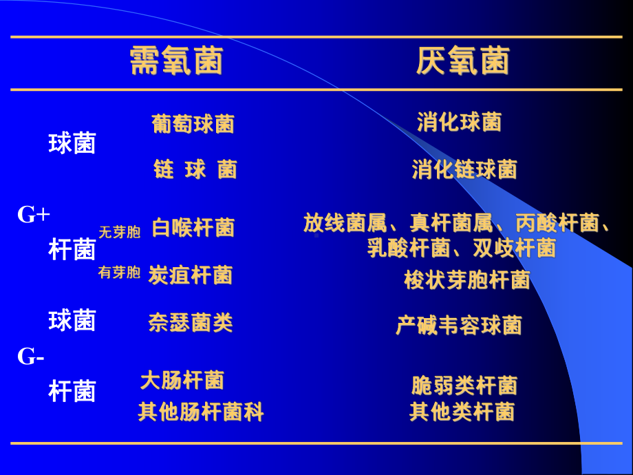 厌氧菌与需氧菌混合感染的治疗用药课件.ppt_第2页