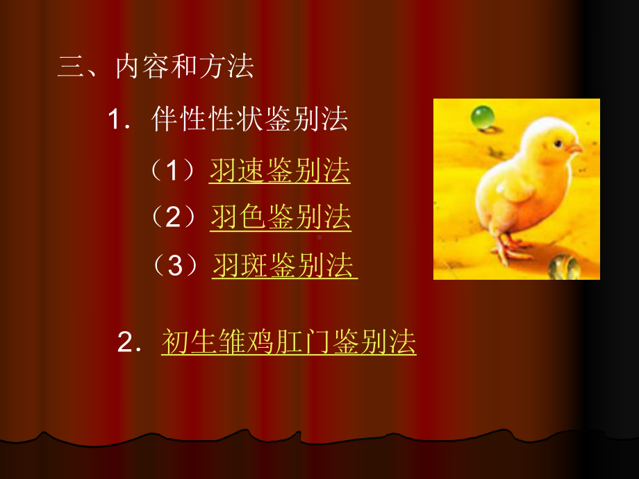 初生雏禽的性别鉴定课件.ppt_第3页