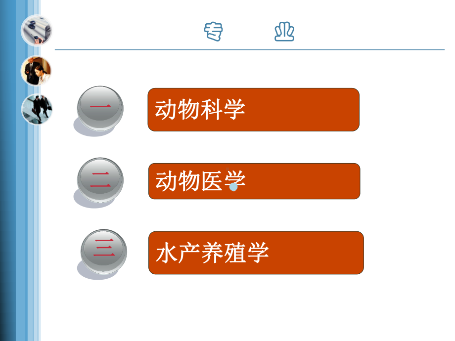 动物科学技术学院版人才培养方案答辩ppt课件.ppt_第2页