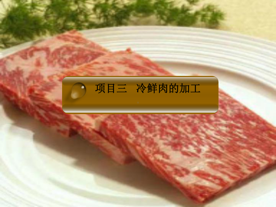 冷鲜肉加工技术课件.ppt_第1页