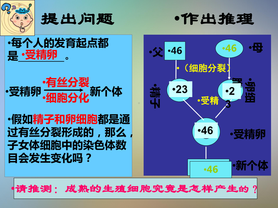 减数分裂和受精作用课件.pptx_第2页