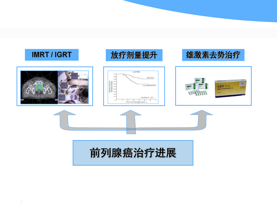 前列腺癌精确放疗规范课件.ppt_第2页