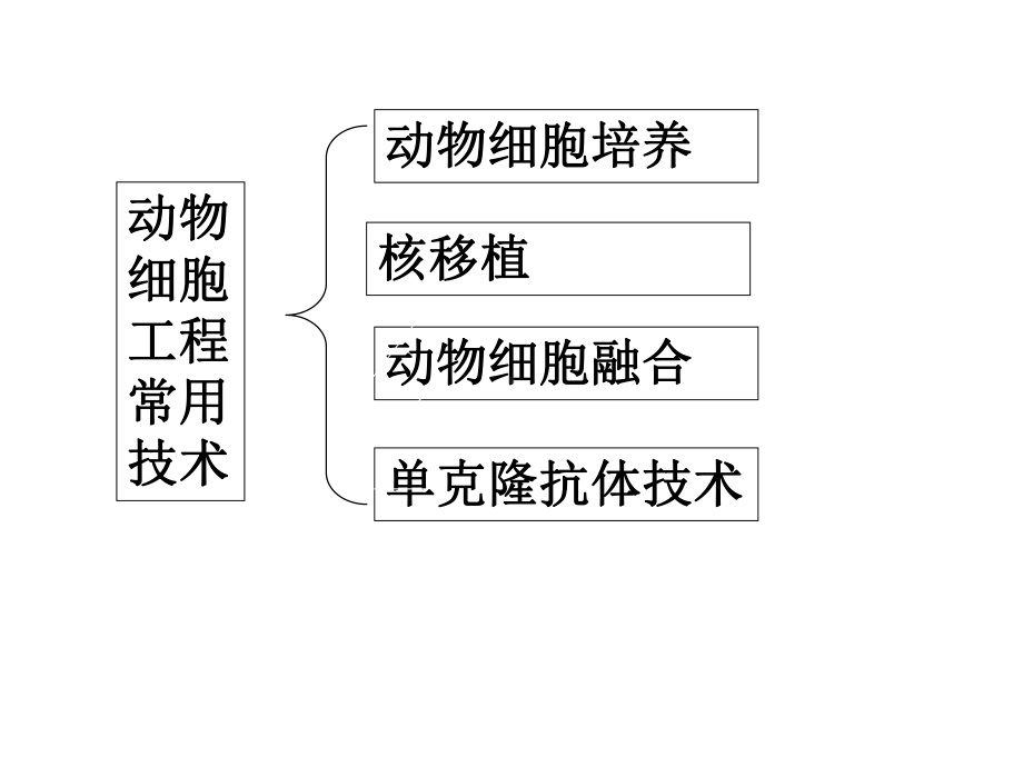 动物细胞工程PPT课件.ppt_第2页