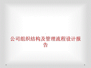 公司组织结构及管理流程设计报告.ppt