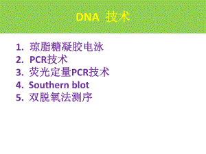 分子生物学-DNA检测技术课件.pptx