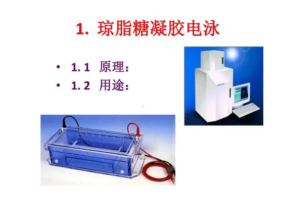 分子生物学-DNA检测技术课件.pptx_第2页