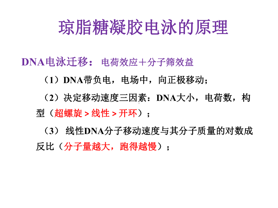 分子生物学-DNA检测技术课件.pptx_第3页