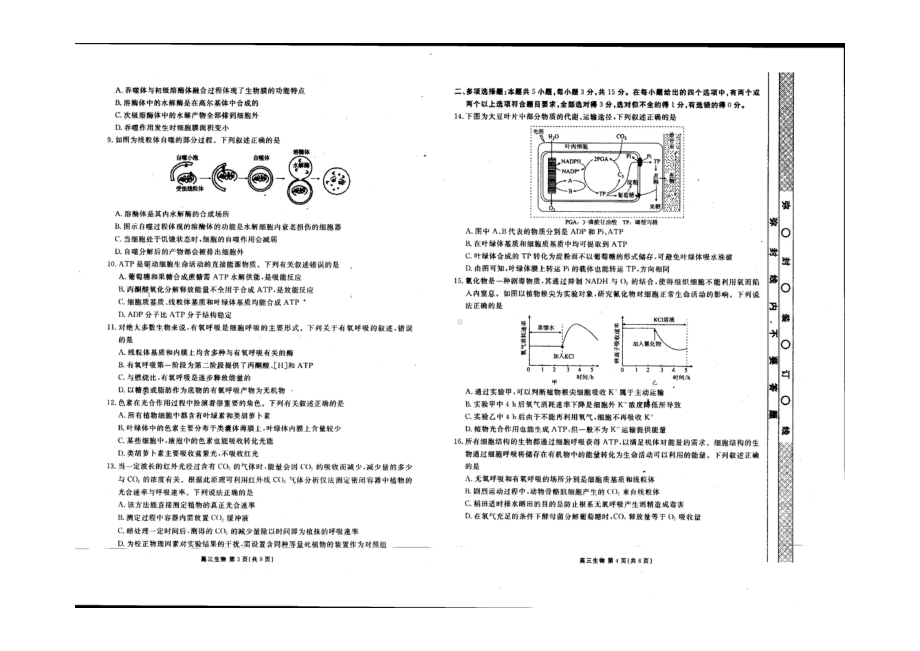 河北省衡水市第十三 2021-2022学年高三下学期期末生物试题.pdf_第2页