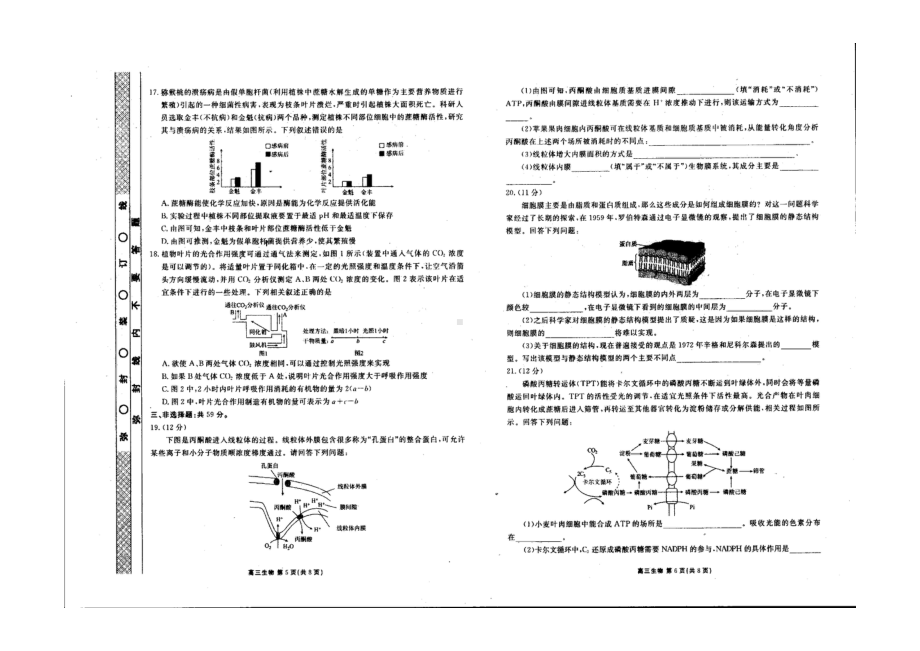 河北省衡水市第十三 2021-2022学年高三下学期期末生物试题.pdf_第3页