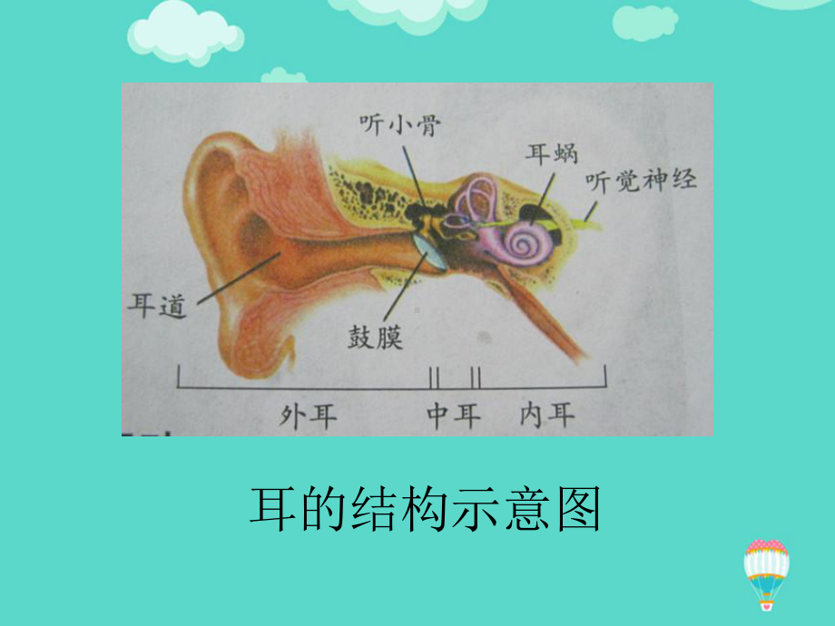 减少噪音保护听力ppt(实用)课件.ppt_第3页