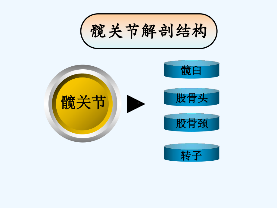 全髋关节置换术后-关节脱位预见性护理[可修改版ppt]课件.ppt_第3页