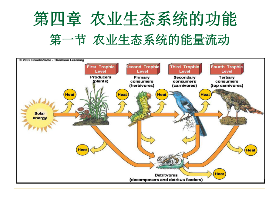 农业生态系统的功能-课件.ppt_第2页