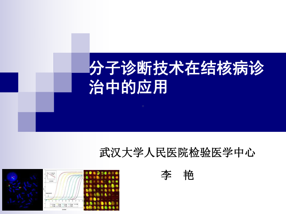 分子诊断技术在结核病诊治中的应用-PPT精选课件.ppt_第1页