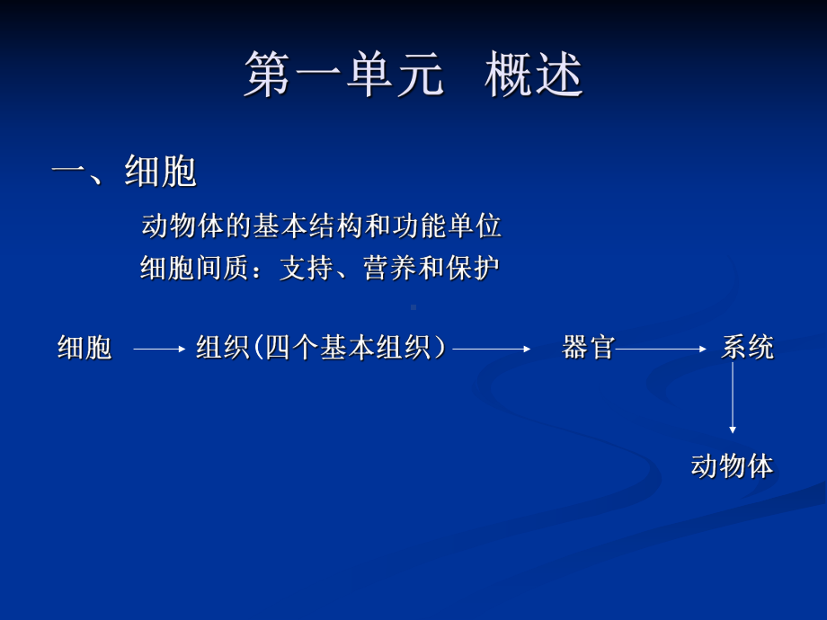 动物解剖、组织、胚胎学-PPT课件.ppt_第2页