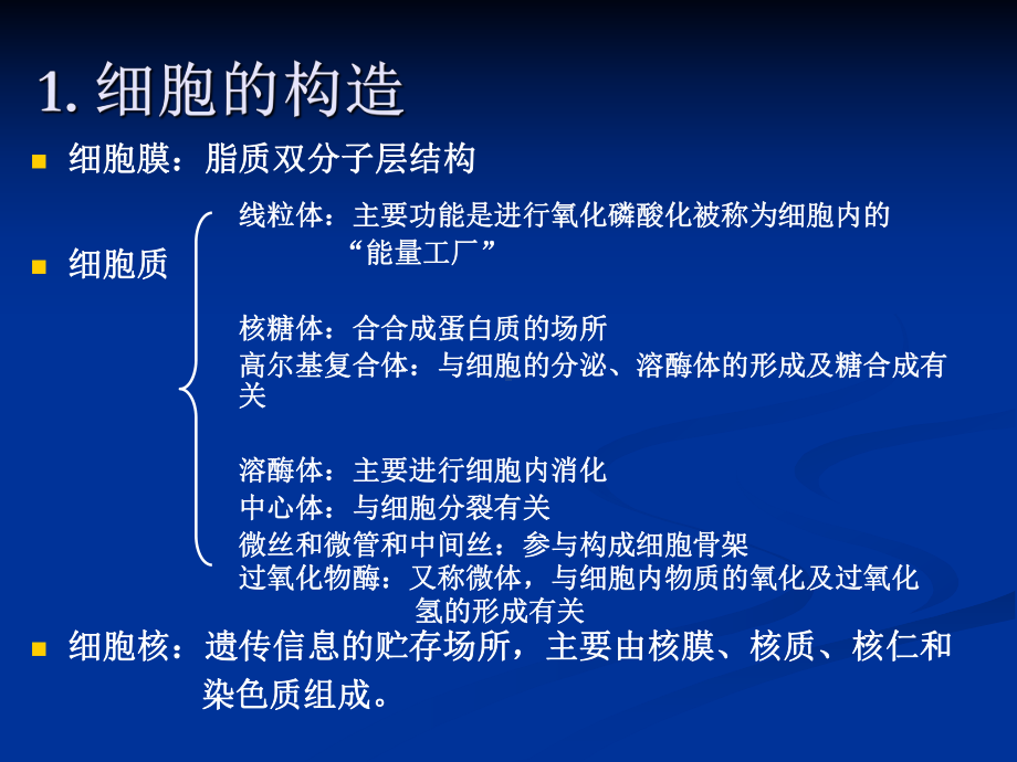 动物解剖、组织、胚胎学-PPT课件.ppt_第3页