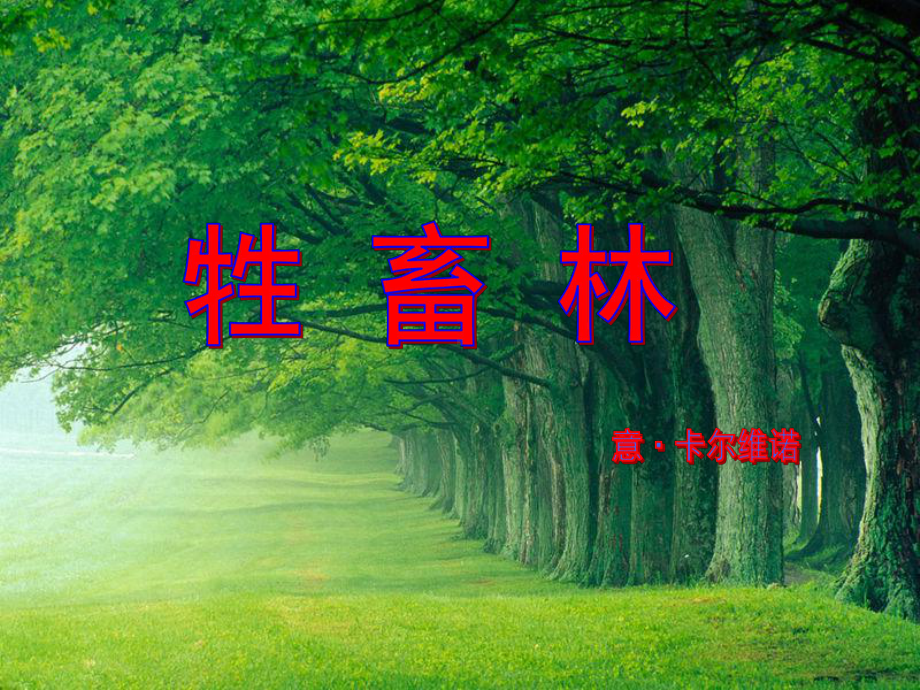 卡尔维诺的作品手法高超课件.ppt_第1页