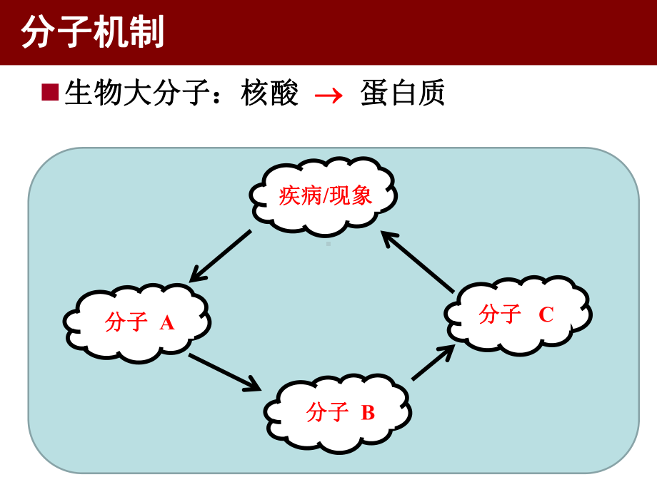 分子机制研究试验设计.ppt_第3页