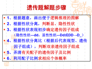 分离定律概率计算课件.ppt