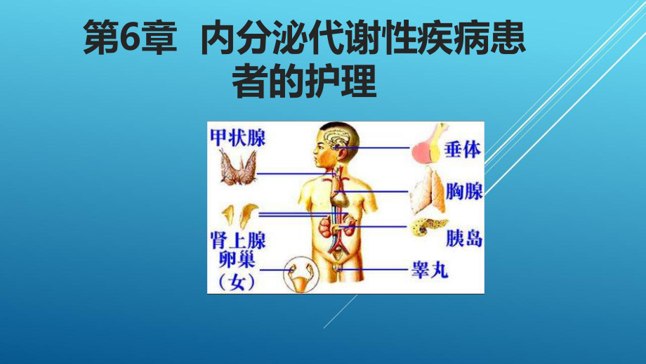 内科护理学第六章-64课件.pptx_第1页