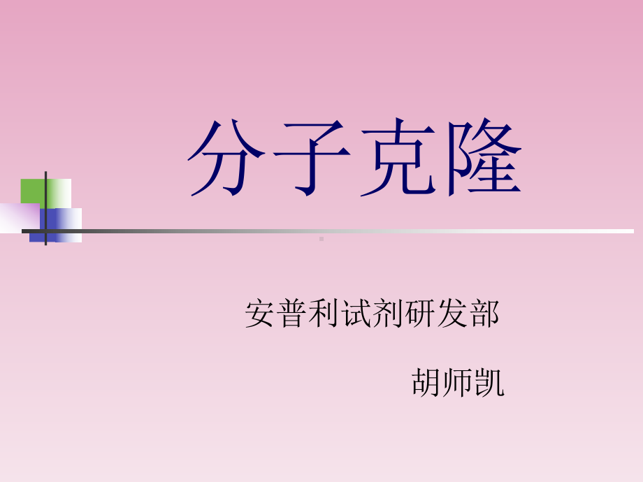 分子克隆常用的DNA聚合酶课件.ppt_第1页