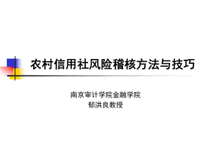 农村信用社风险审计方法和技巧课件.ppt