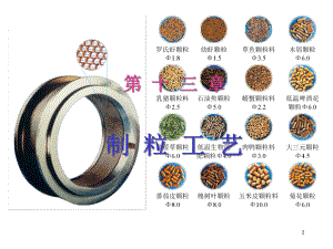 制粒工艺培训课程课件.pptx