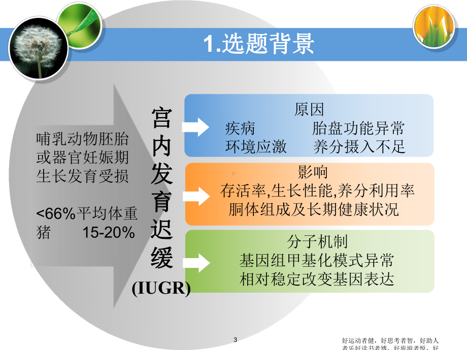 叶酸对宫内发育迟缓仔-猪肝脏基因表达影响课件.ppt_第3页