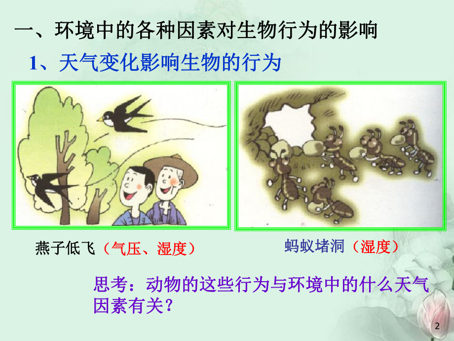 八级科学上册-环境对生物的影响课件-新人教版.ppt_第2页