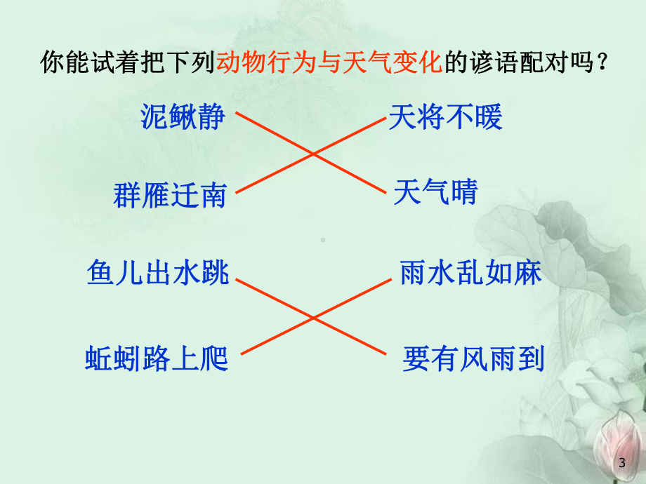 八级科学上册-环境对生物的影响课件-新人教版.ppt_第3页