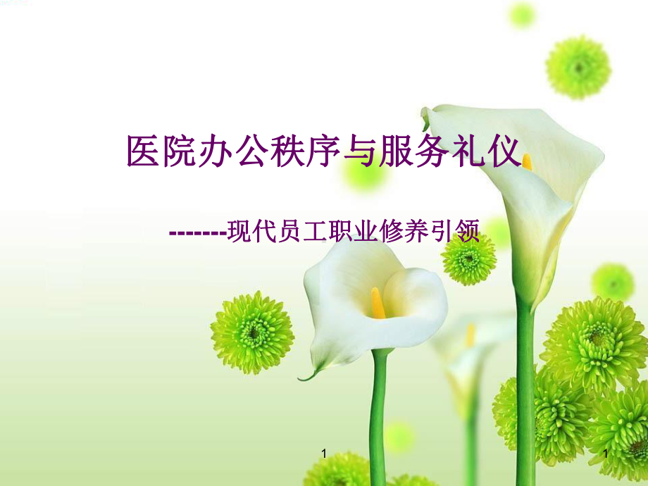 医院礼仪与办公秩序课件.ppt_第1页