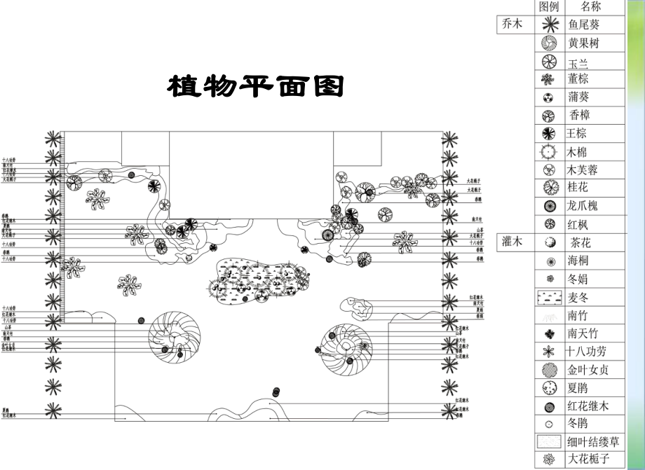 几种常见植物介绍PPT讲解课件.ppt_第3页